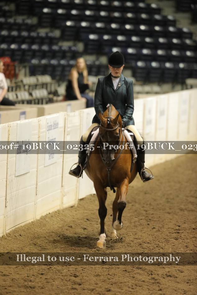 Proof 19BUCK_02325