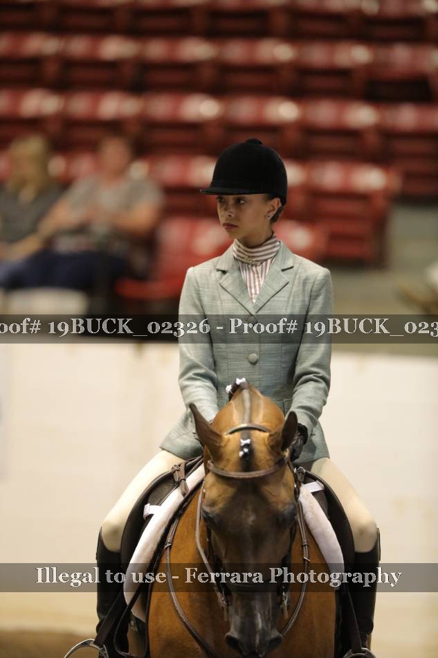Proof 19BUCK_02326