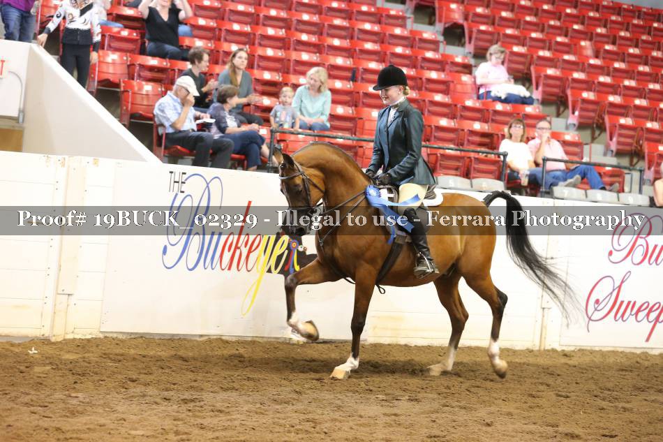 Proof 19BUCK_02329