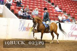 19BUCK_02329 proof