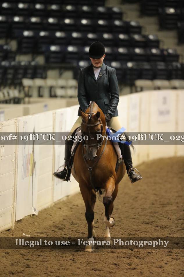 Proof 19BUCK_02330