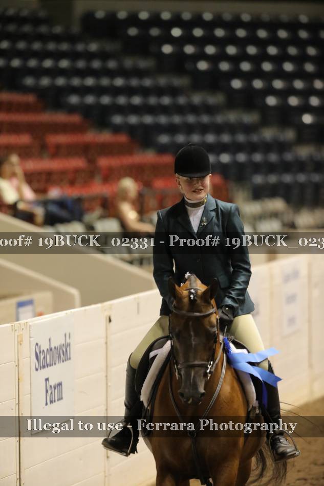 Proof 19BUCK_02331