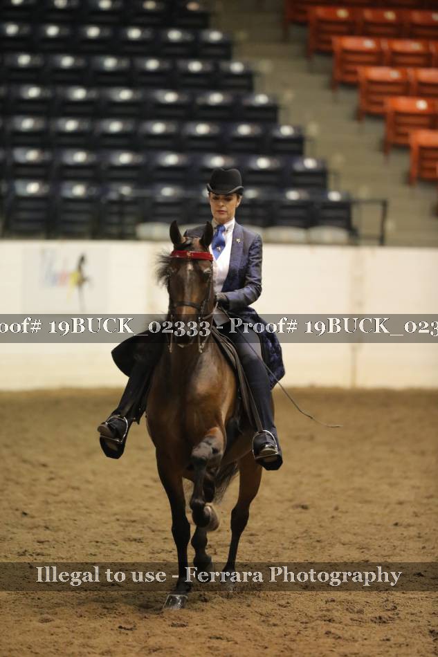Proof 19BUCK_02333