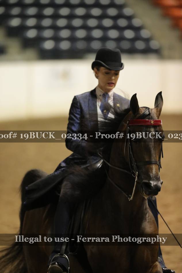 Proof 19BUCK_02334