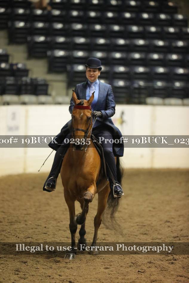 Proof 19BUCK_02335