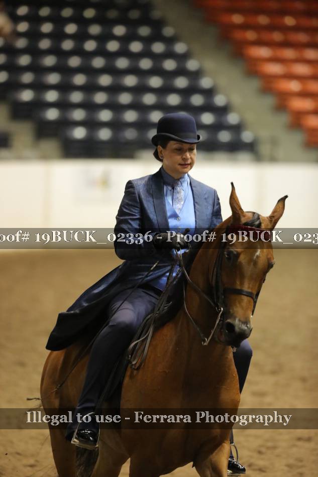 Proof 19BUCK_02336