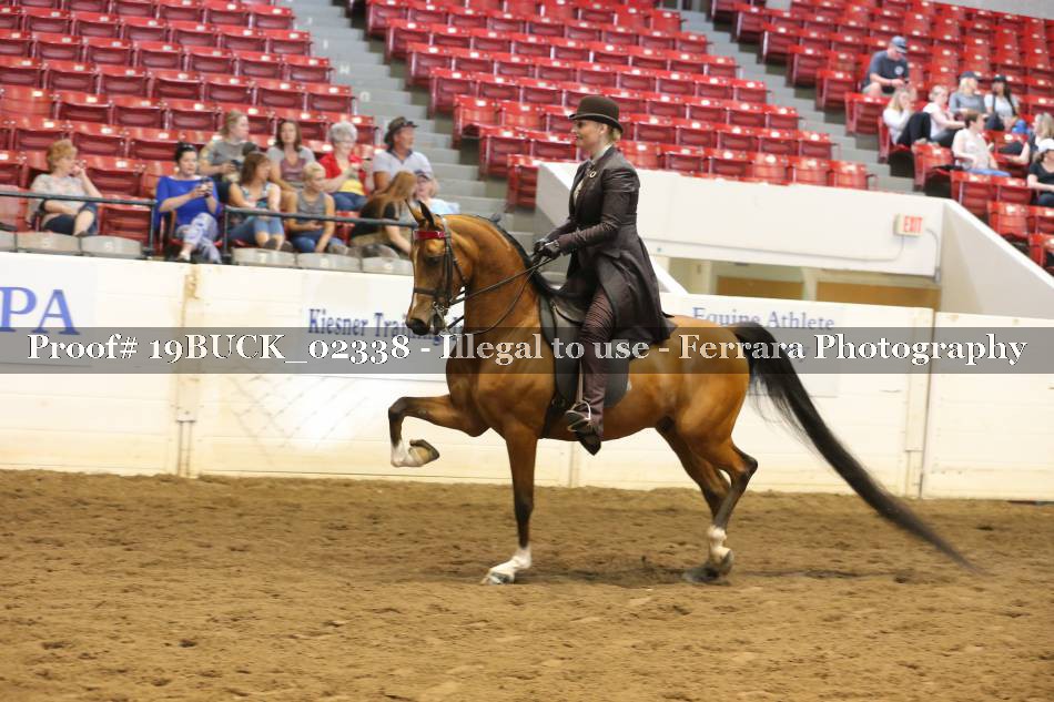 Proof 19BUCK_02338