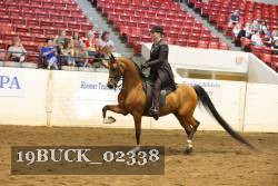 19BUCK_02338 proof
