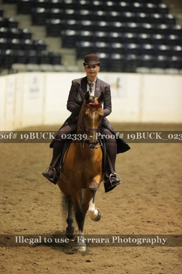 Proof 19BUCK_02339