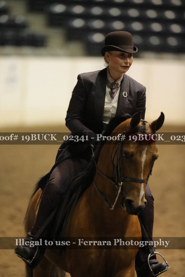 Proof 19BUCK_02341