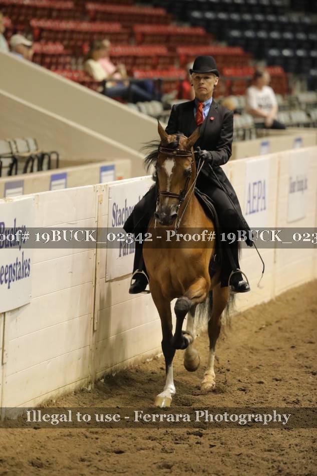 Proof 19BUCK_02342