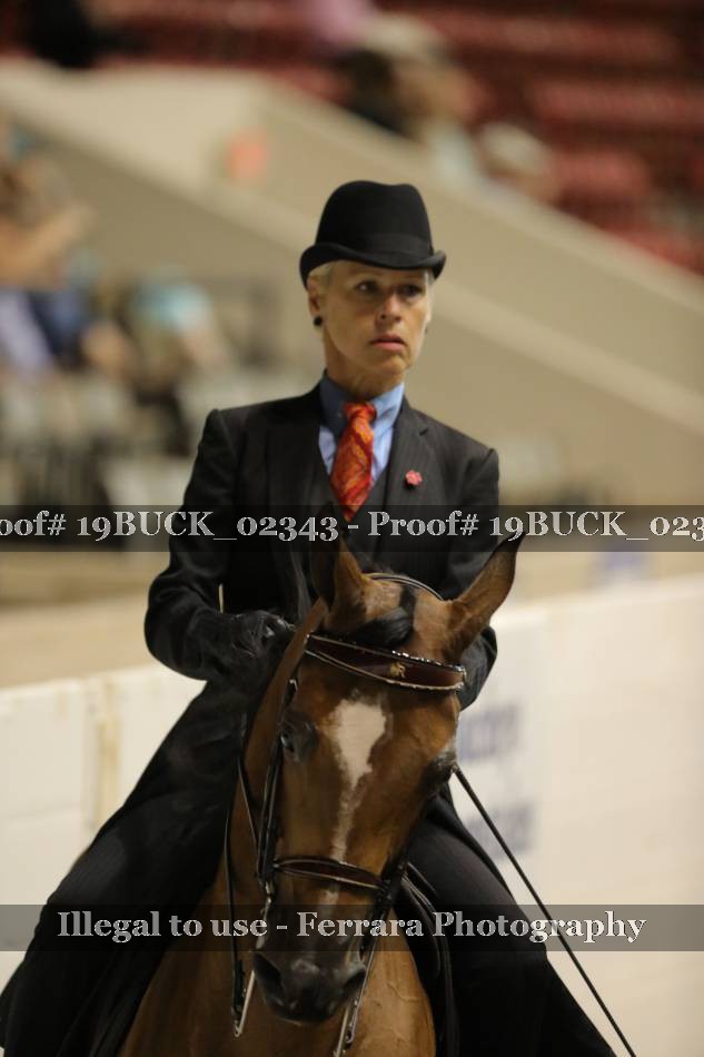 Proof 19BUCK_02343