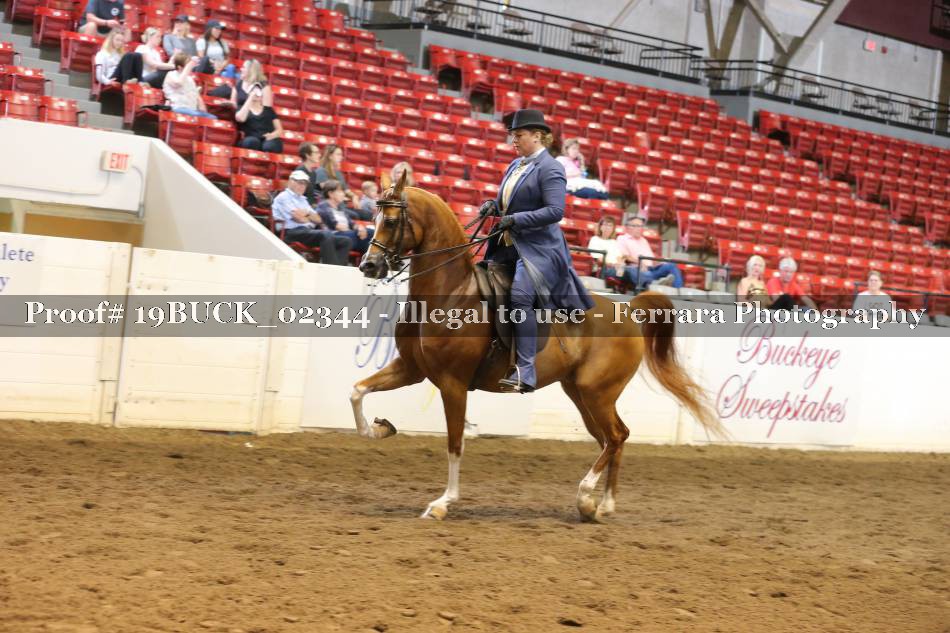 Proof 19BUCK_02344