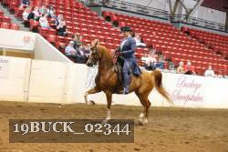 19BUCK_02344 proof