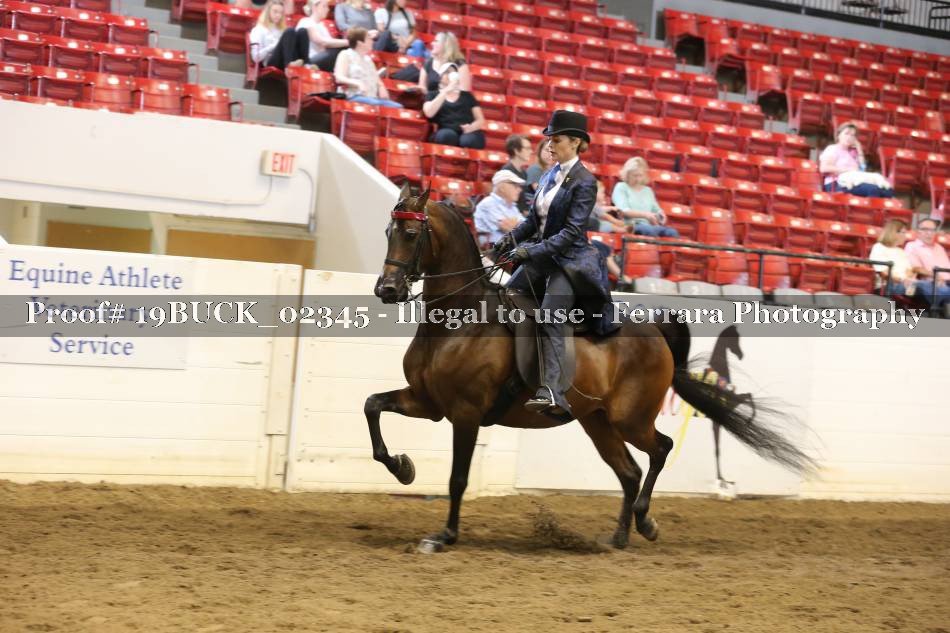 Proof 19BUCK_02345