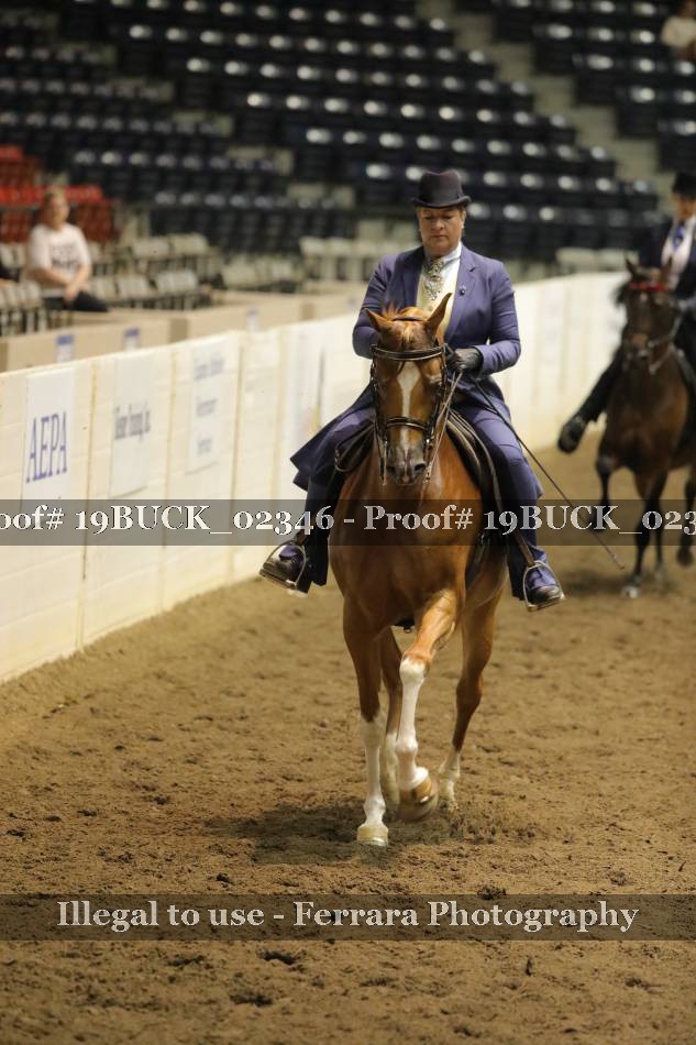 Proof 19BUCK_02346