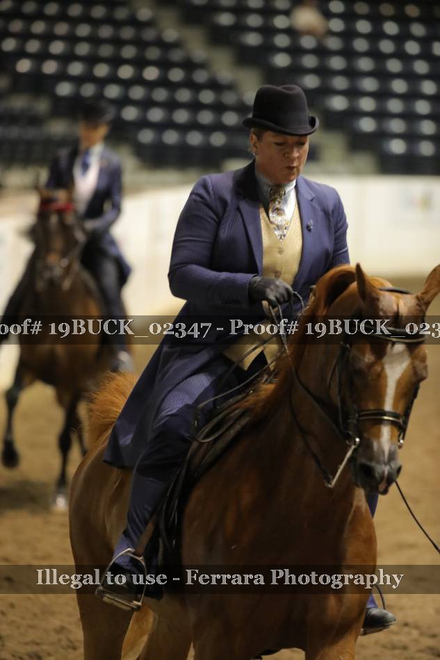 Proof 19BUCK_02347