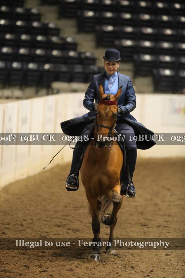 Proof 19BUCK_02348