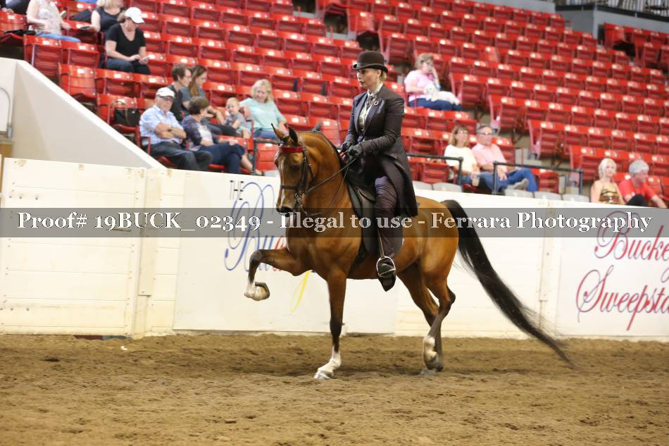 Proof 19BUCK_02349