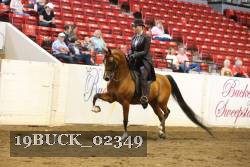19BUCK_02349 proof