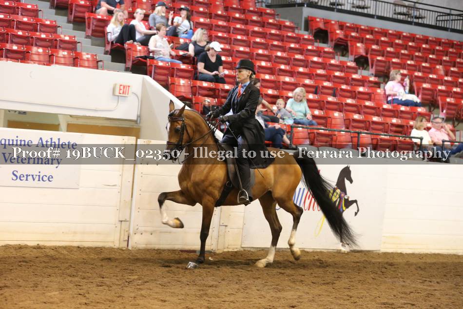 Proof 19BUCK_02350