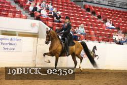 19BUCK_02350 proof