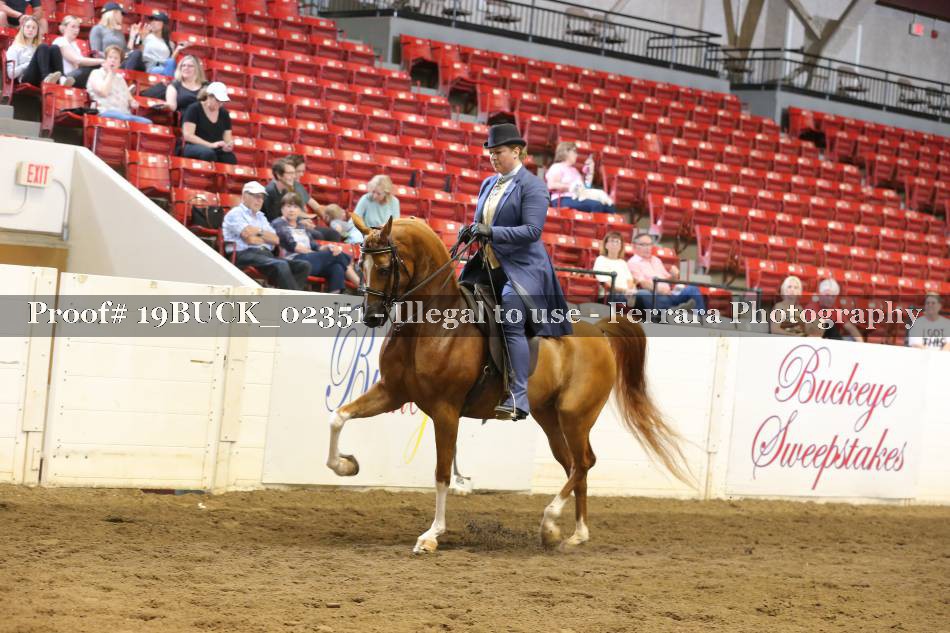 Proof 19BUCK_02351