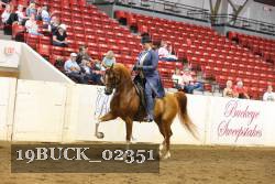 19BUCK_02351 proof