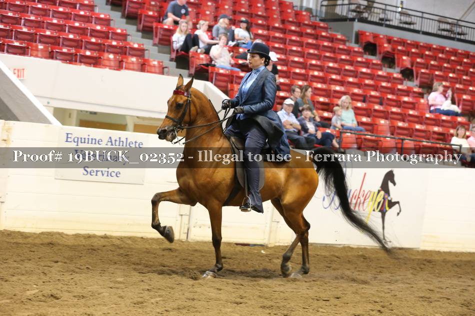 Proof 19BUCK_02352