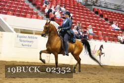 19BUCK_02352 proof