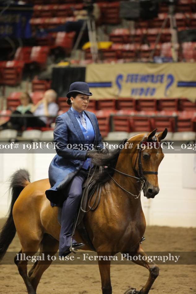 Proof 19BUCK_02353