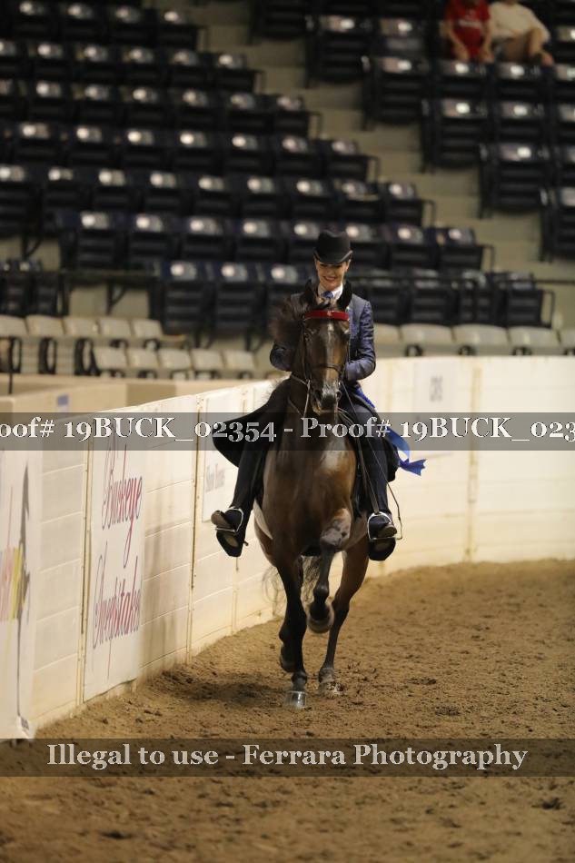 Proof 19BUCK_02354