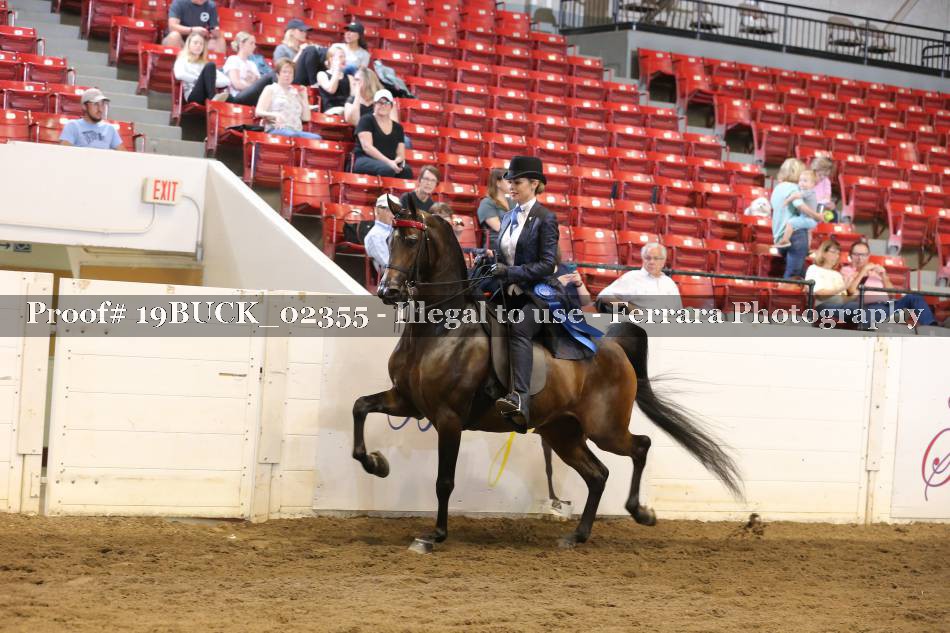 Proof 19BUCK_02355