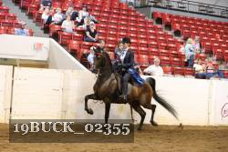19BUCK_02355 proof