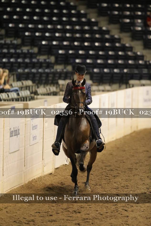 Proof 19BUCK_02356