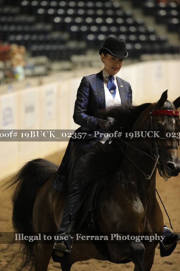 Proof 19BUCK_02357