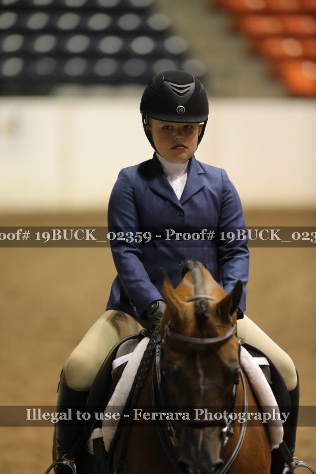 Proof 19BUCK_02359