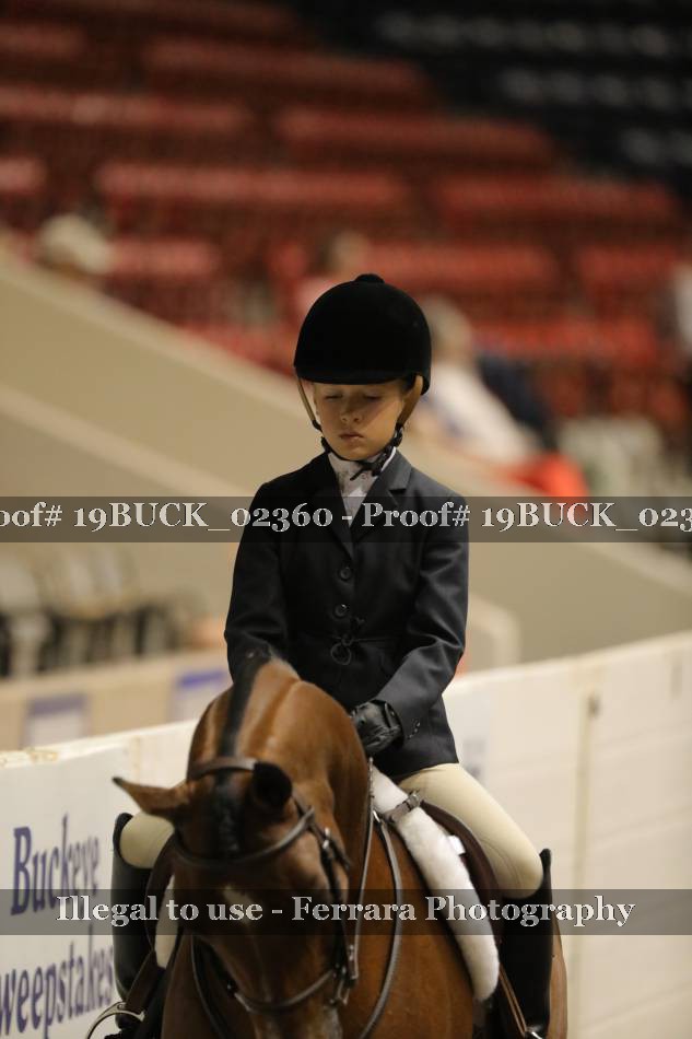 Proof 19BUCK_02360