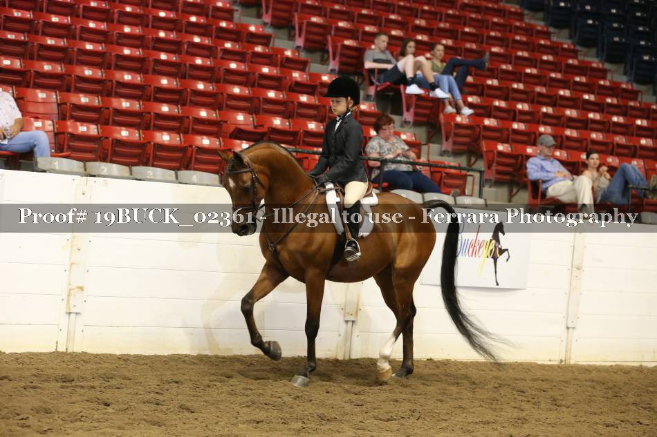 Proof 19BUCK_02361