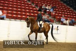 19BUCK_02361 proof