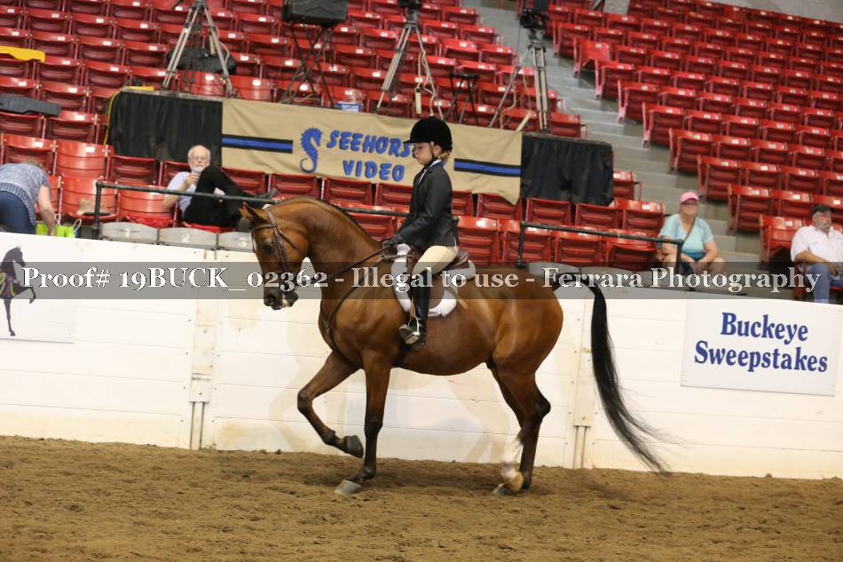 Proof 19BUCK_02362