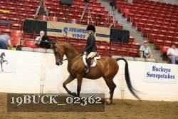 19BUCK_02362 proof
