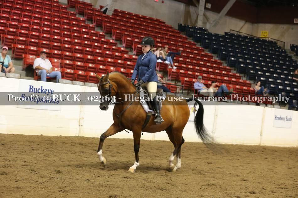 Proof 19BUCK_02363