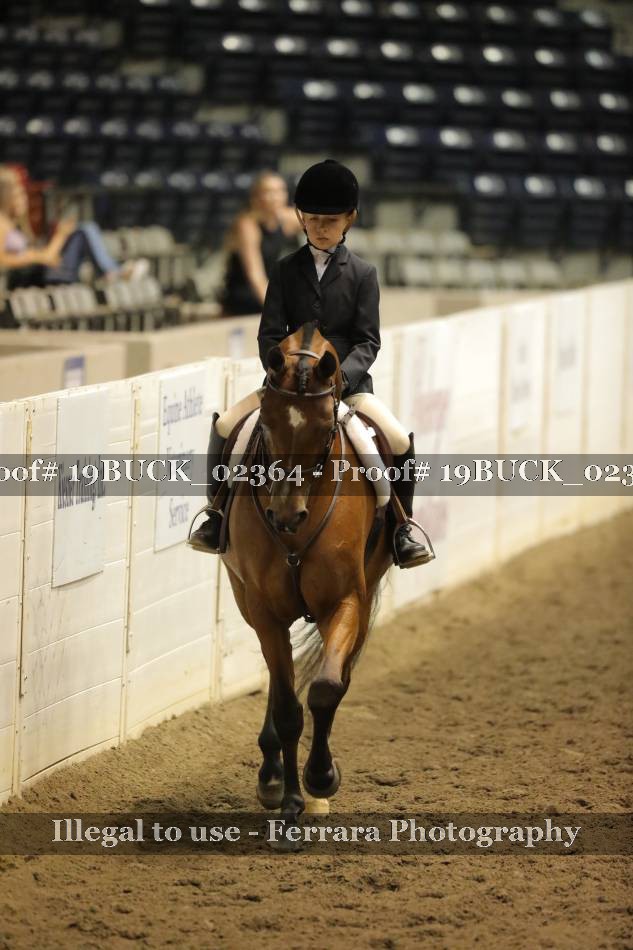 Proof 19BUCK_02364