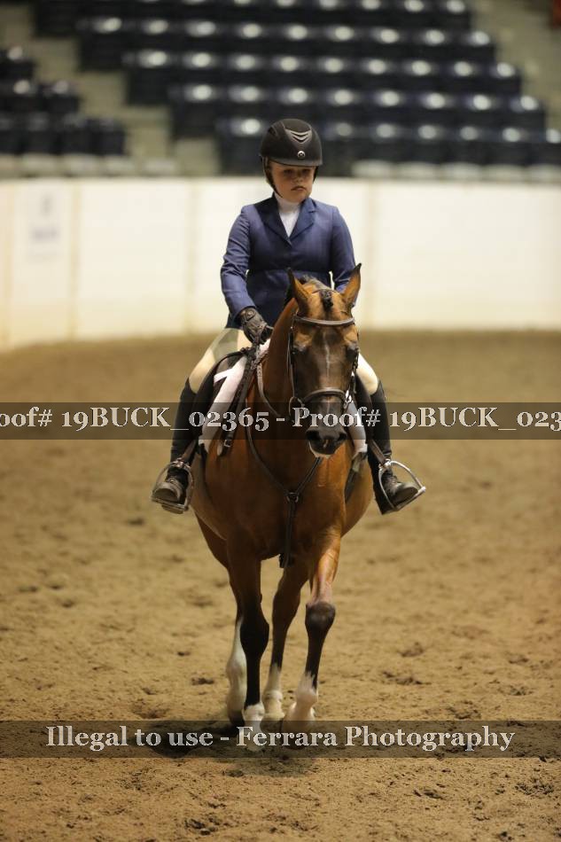 Proof 19BUCK_02365