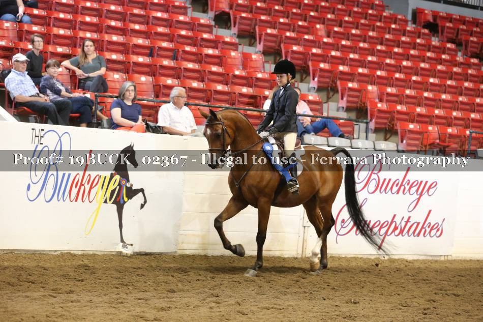 Proof 19BUCK_02367