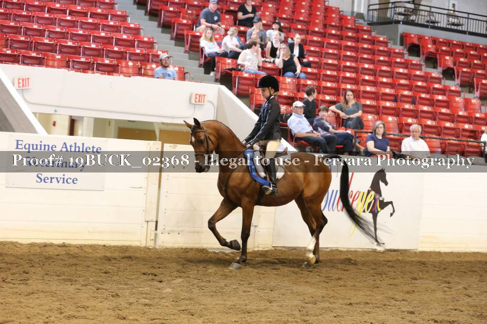 Proof 19BUCK_02368
