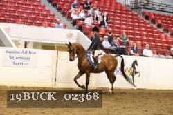 19BUCK_02368 proof