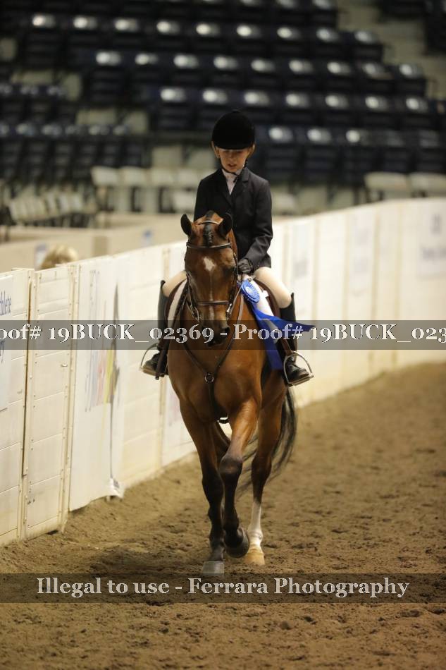 Proof 19BUCK_02369