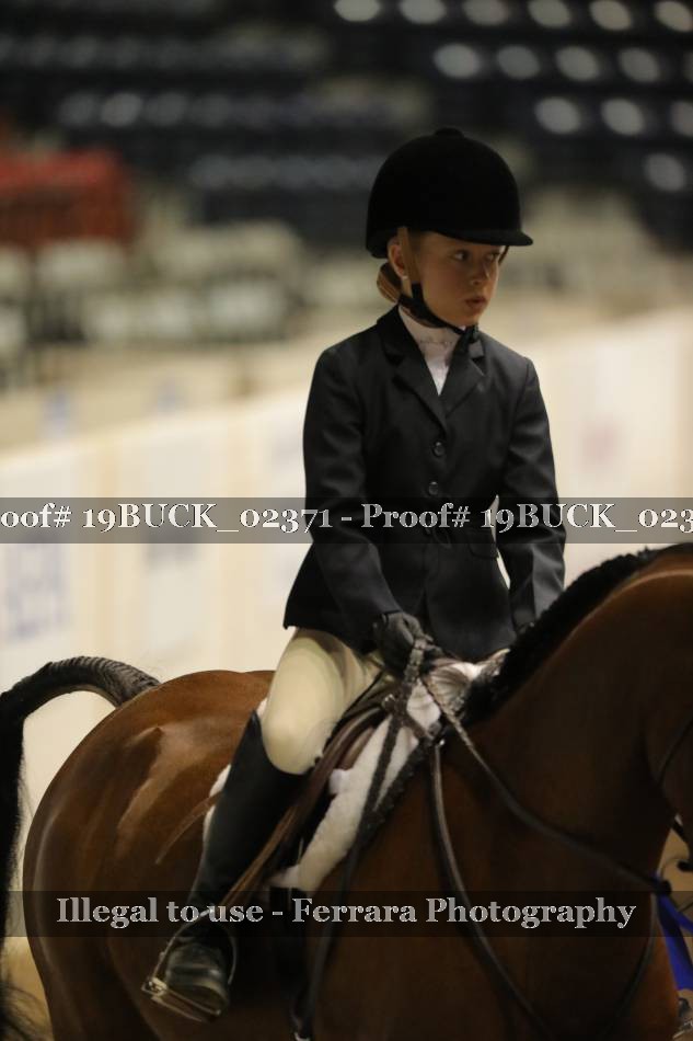 Proof 19BUCK_02371